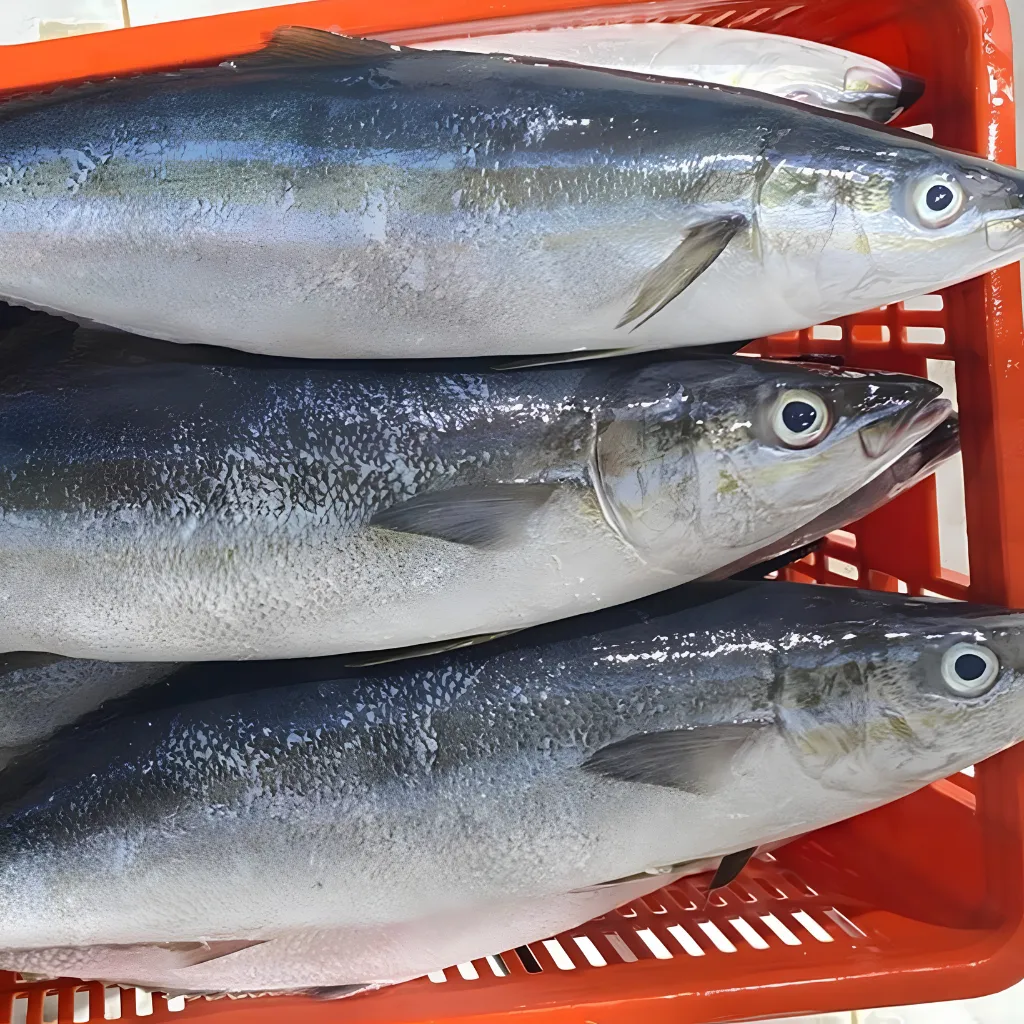 Demersal Fish